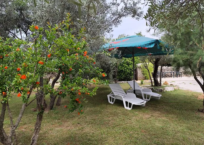 Marti\'S House In The Olive Grove