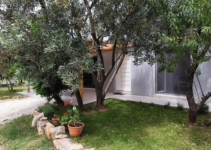 Marti\'S House In The Olive Grove