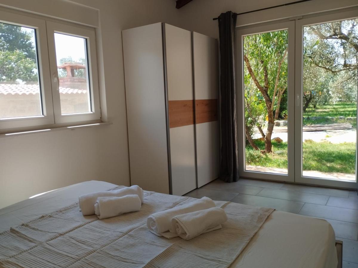 Marti's House In The Olive Grove *
