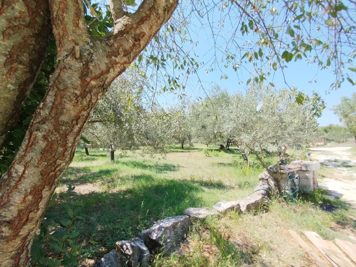 Marti's House In The Olive Grove Fažana