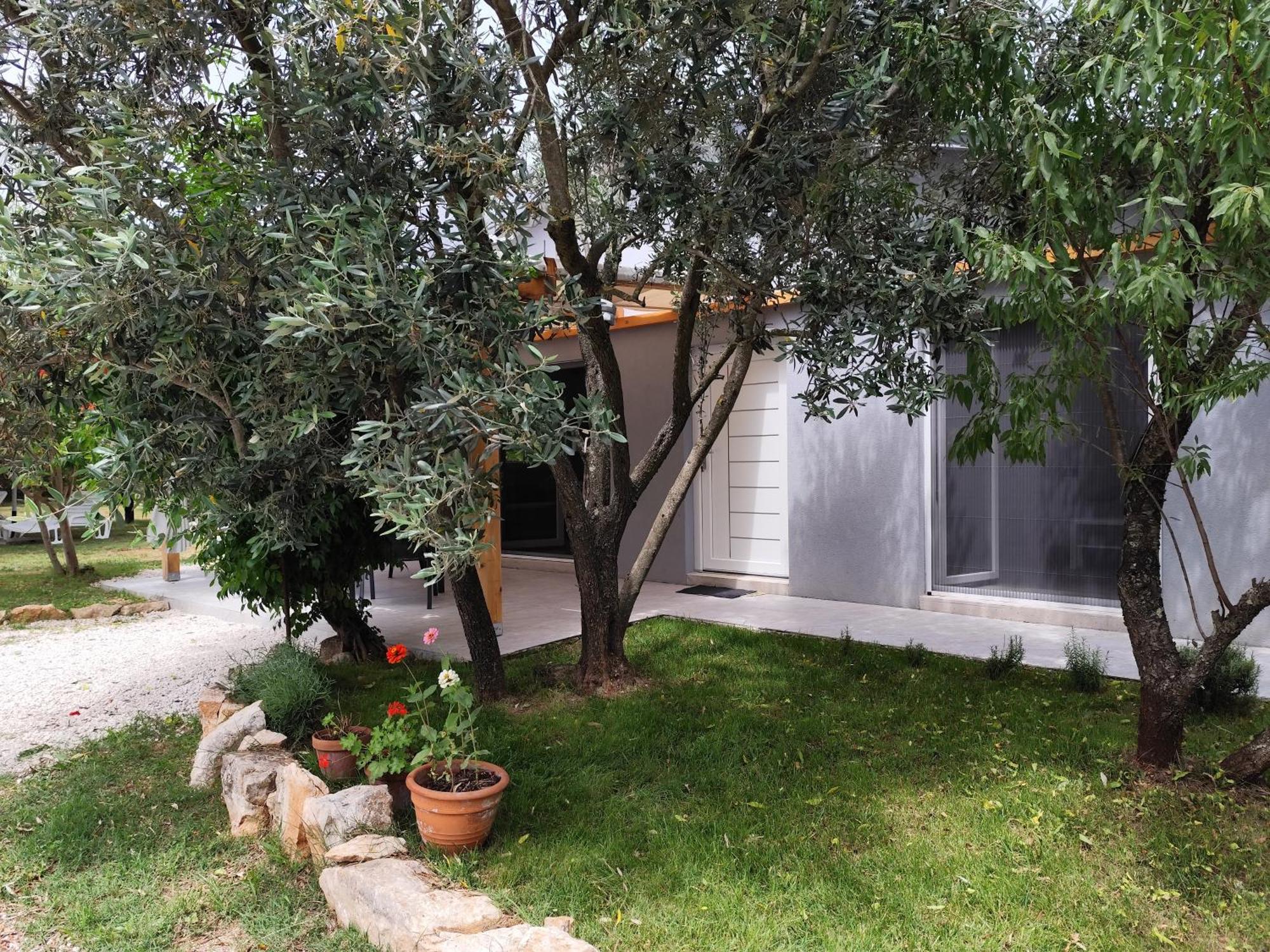 Marti's House In The Olive Grove * Fažana